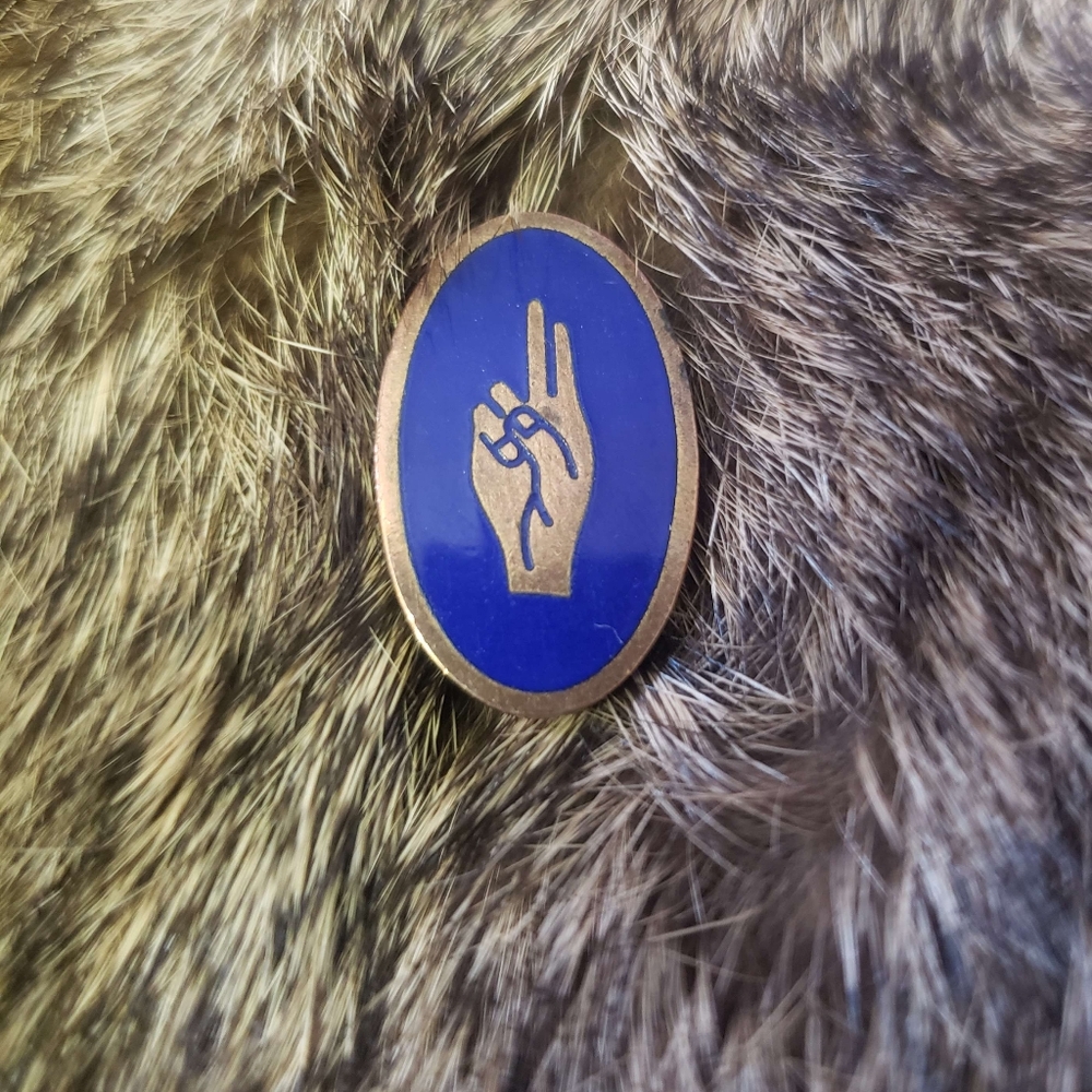Girl Scouts Brownie Salute Pin